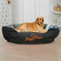 Kong orthopedic hot sale dog bed